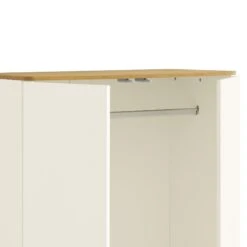 Agnes Curved Edge Double Wardrobe, Off White With Oak Top -Daals BSD 146 WHITE detail3