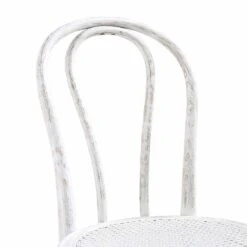 Camille Elm Wood And Rattan Bentwood Dining Chair, Distressed White -Daals DCH 002 WASHWHITE detail2