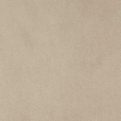 Oakley Set Of 2 Champagne Velvet Upholstered Dining Chairs With Contrast Piping 19 Oakley Set Of 2 Champagne Velvet Upholstered Dining Chairs With Contrast Piping -Daals DCH 2138 CHAMP VEL 2P fabric detail