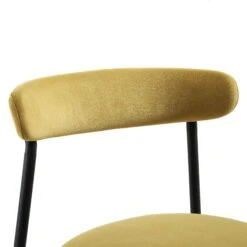 Donna Set Of 2 Mustard Yellow Velvet Dining Chairs -Daals DCH 2149 MUSTARD VEL 2P detail1