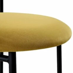 Donna Set Of 2 Mustard Yellow Velvet Dining Chairs -Daals DCH 2149 MUSTARD VEL 2P detail3