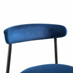 Donna Set Of 2 Navy Blue Velvet Dining Chairs -Daals DCH 2149 NAVY VEL 2P detail1