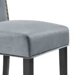 Maidwell Set Of 2 Grey Velvet Dining Chairs -Daals DCH LW8116 GREYVEL 2P detail2