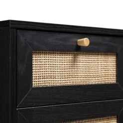 Frances Woven Rattan 1-Door Bathroom Cabinet, Black -Daals FT BAC 01 BLACK detail1