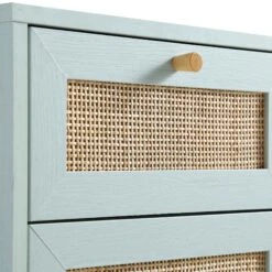 Frances Woven Rattan 1-Door Bathroom Cabinet, Mint -Daals FT BAC 01 SAGE detail1