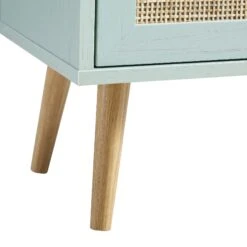 Frances Woven Rattan 1-Door Bathroom Cabinet, Mint -Daals FT BAC 01 SAGE detail3