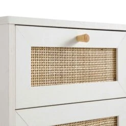 Frances Woven Rattan 1-Door Bathroom Cabinet, White -Daals FT BAC 01 WHITE detail1