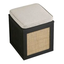 Frances Woven Rattan Single Storage Stool With Cushion, Black -Daals FT BENCH 02 BLACK WB4