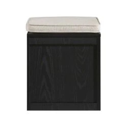 Frances Woven Rattan Single Storage Stool With Cushion, Black -Daals FT BENCH 02 BLACK WB5