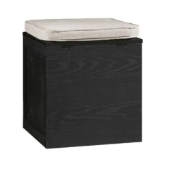 Frances Woven Rattan Single Storage Stool With Cushion, Black -Daals FT BENCH 02 BLACK WB6