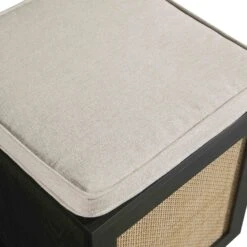 Frances Woven Rattan Single Storage Stool With Cushion, Black -Daals FT BENCH 02 BLACK detail2