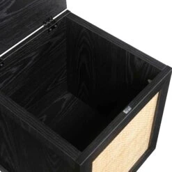 Frances Woven Rattan Single Storage Stool With Cushion, Black -Daals FT BENCH 02 BLACK detail3