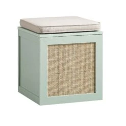 Frances Woven Rattan Single Storage Stool With Cushion, Mint -Daals FT BENCH 02 SAGE WB2