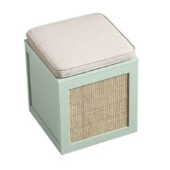 Frances Woven Rattan Single Storage Stool With Cushion, Mint -Daals FT BENCH 02 SAGE WB4