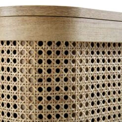 Izzy Curved Rattan 2-Door Buffet Sideboard, Natural -Daals FT CAB 04 NAT detail4