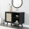 Frances Woven Rattan 1-Door Cabinet In Black