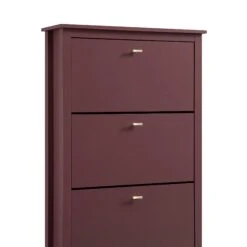 Oakham 3-Tier Shoe Cabinet, Wild Cherry -Daals FT SHC 03 PRED detail2