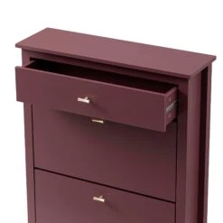 Oakham 2-Tier Shoe Cabinet With Top Drawer, Wild Cherry -Daals FT SHC 04 PRED detail1