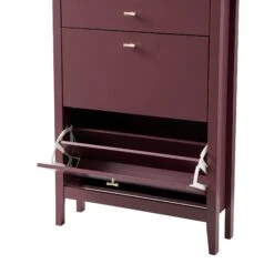 Oakham 2-Tier Shoe Cabinet With Top Drawer, Wild Cherry -Daals FT SHC 04 PRED detail2
