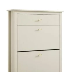 Oakham 2-Tier Shoe Cabinet With Top Drawer, Shaded White -Daals FT SHC 04 WHITE detail1