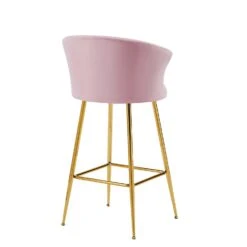 Kylie Set Of 2 Pink Velvet Bar Stools -Daals MB222PINKVEL P WB4